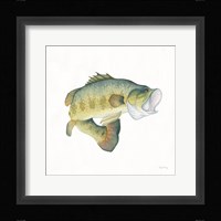 Gone Fishin Large Mouth Framed Print