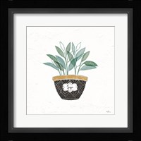 Fine Herbs VII Framed Print