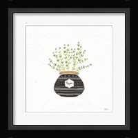 Fine Herbs VI Framed Print