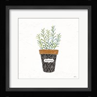 Fine Herbs IX Framed Print