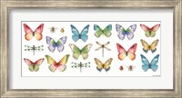 Colorful Breeze Bright Butterflies and Bugs Fine Art Print