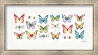 Colorful Breeze Bright Butterflies and Bugs Fine Art Print