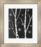 Snowy Birches IV Fine Art Print