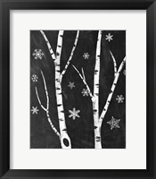 Snowy Birches IV Framed Print