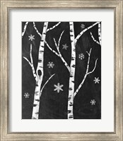 Snowy Birches II Fine Art Print