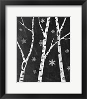 Snowy Birches III Framed Print