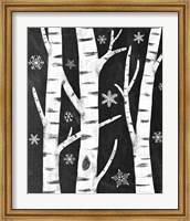 Snowy Birches Fine Art Print