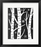 Snowy Birches Framed Print