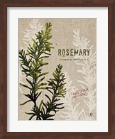 Organic Rosemary No Butterfly Fine Art Print