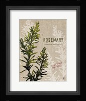 Organic Rosemary No Butterfly Fine Art Print