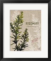 Organic Rosemary No Butterfly Framed Print