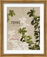Organic Thyme No Butterfly Fine Art Print