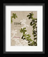 Organic Thyme No Butterfly Framed Print