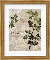 Organic Parsley No Butterfly Fine Art Print