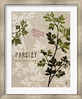 Organic Parsley No Butterfly Fine Art Print