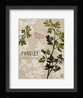 Organic Parsley No Butterfly Fine Art Print