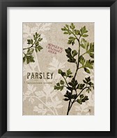 Organic Parsley No Butterfly Framed Print