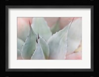 Dream Desert VI Framed Print