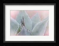 Dream Desert V Fine Art Print