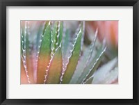 Dream Desert III Framed Print