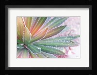 Dream Desert I Framed Print