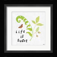 Wild Wings V Fine Art Print