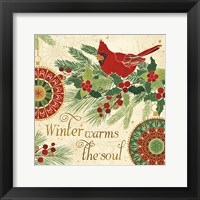 Winter Feathers VI Framed Print