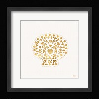 Sea Charms III no Words Framed Print