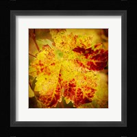 Golden Foliage Fine Art Print
