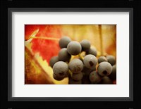 Late Harvest Fine Art Print