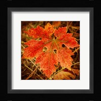 Ochre Foliage Fine Art Print