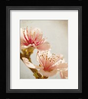 Spring Whispers 1 Fine Art Print