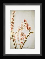 Spring Whispers 2 Fine Art Print
