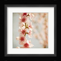 Spring Whispers 4 Fine Art Print