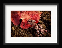 The Fallen Fine Art Print