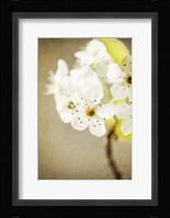 The Return Fine Art Print