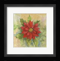 Poinsettia 1 Fine Art Print