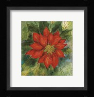 Poinsettia 2 Fine Art Print