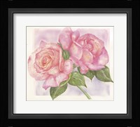 Roses 2 Fine Art Print
