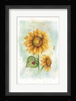 Sunflower Fine Art Print