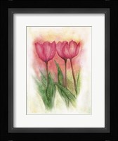 Tulipas 3 Fine Art Print