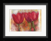 Tulips Fine Art Print