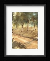 Lights Fine Art Print