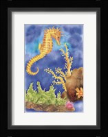 Seahorse Fine Art Print