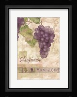 Montalcino Sangiovese 2 Fine Art Print