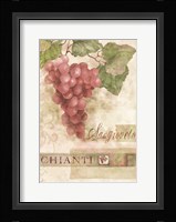 Chianti Sangioveto 2 Fine Art Print