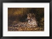 Leopard Fine Art Print