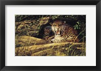 Angry Fine Art Print