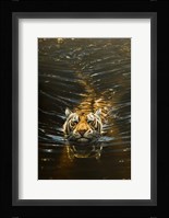 Silent Pursuit Fine Art Print