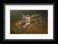 Tiger Cub Fine Art Print